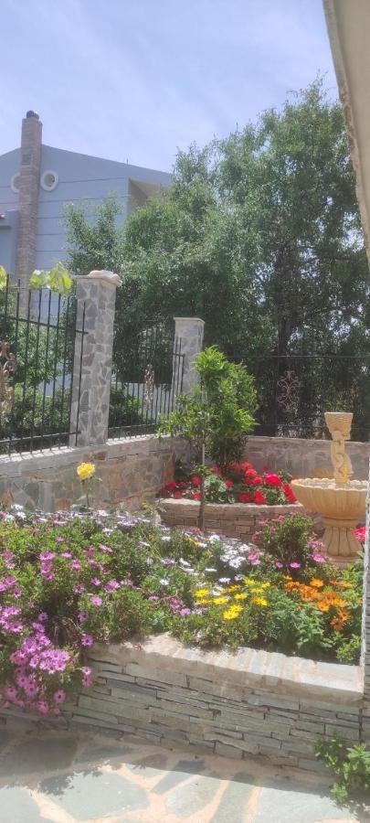 شقة Shley House 1 أرتيميدا المظهر الخارجي الصورة
